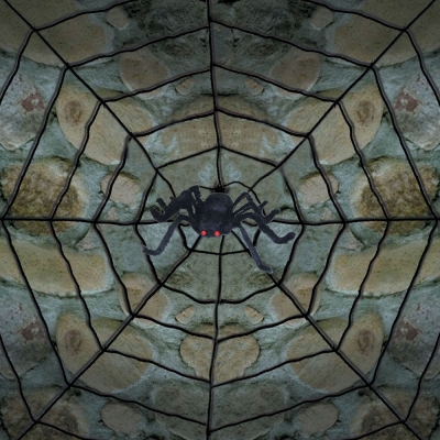 Giant Spider Web W Spider