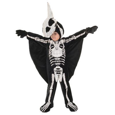 Pteradactyl Toddler Med 18 24