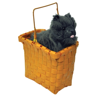 Toto In Basket