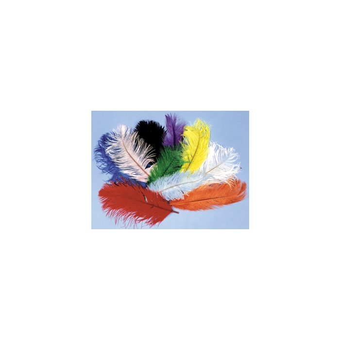 Ostrich Plumes Pink
