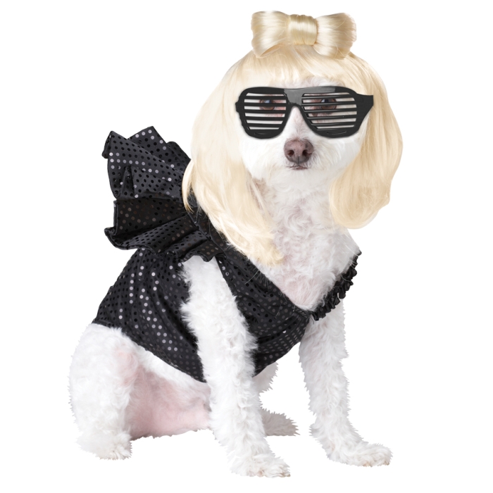 Lady Dogga Pet Medium