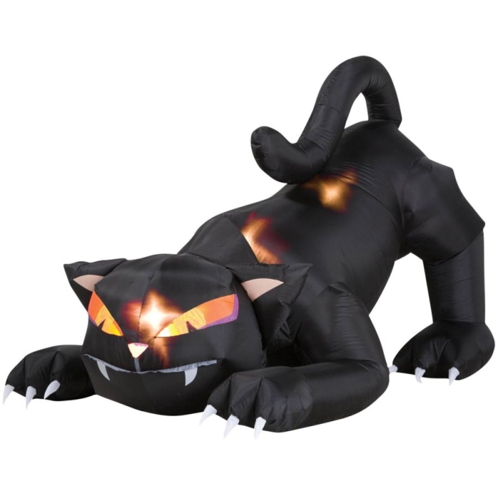 Black Cat W Turning Head