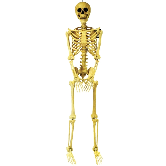 Skeleton Pose And Hold