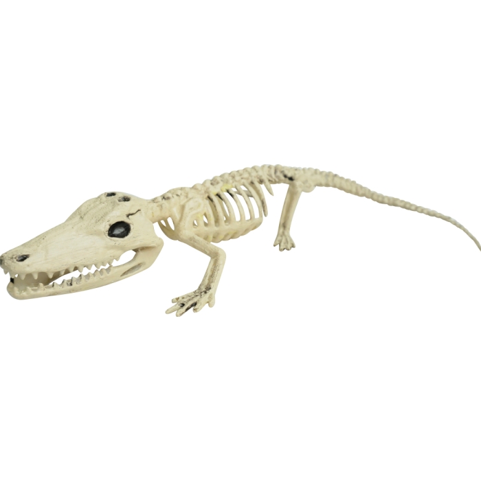 Alligator 6.3 In