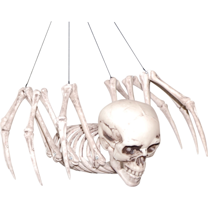 Spider Skeleton-1