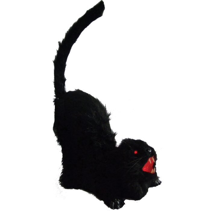 Animated Cat