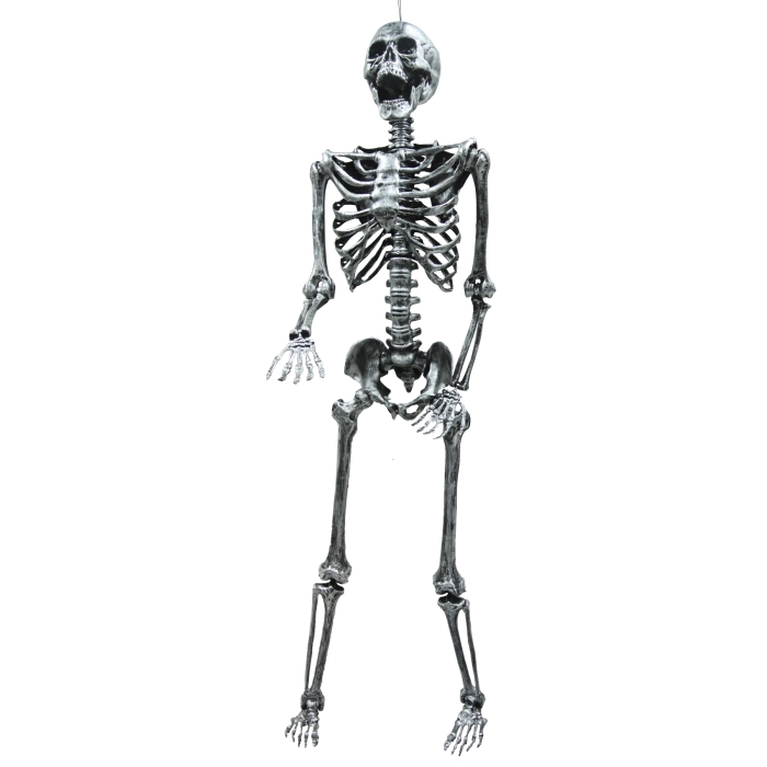 Skeleton Steel Gray Lghtup 5Ft