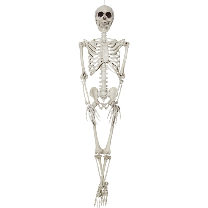 Skeleton 36 Inch