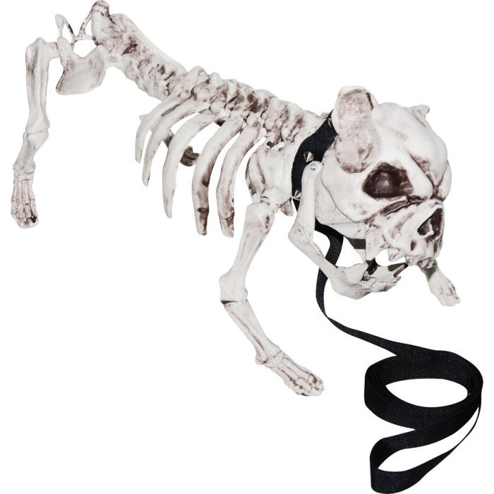 Skeleton Dog