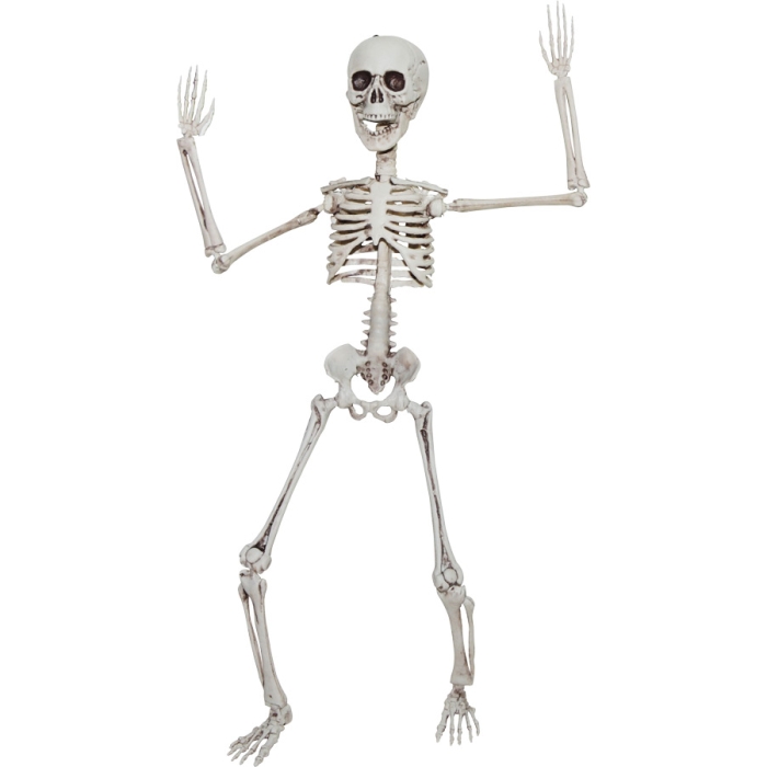 Poseable Skeleton 20 In