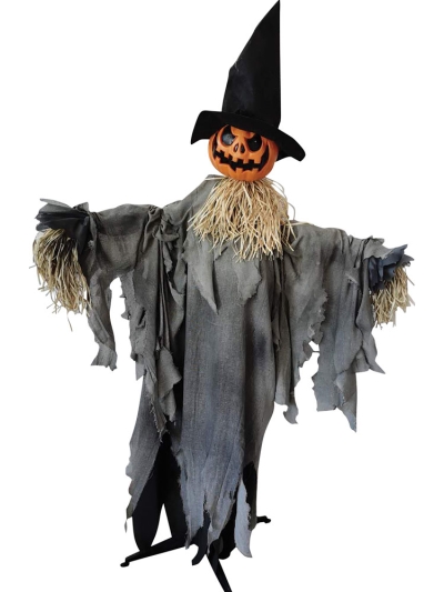 Pumpkin Animated W Hat