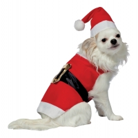 Pet Costume Santa