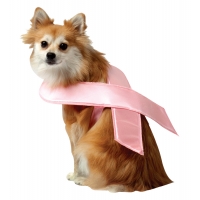 Pet Costume Pink Ribbon