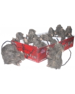 Rat Assortment