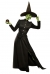 Classic Witch Adult Large