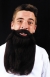 Mustache Beard Brown 14In