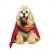 Superman Pet Costume Large