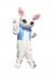 Rabbit Mascot  As Pictured