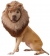 Pet Lion Large