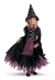 Fairy Tale Witch 3T 4T Child