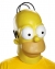 Homer Adult Mask