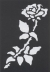 Stencil Rose Brass