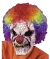 Clown Mask W Wig