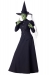 Wicked Witch Adult Large