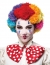 Pom Clown Wig Rainbow