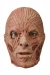 Freddy Krueger Latx Adult Mask