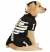 Pet Costume Bones Glows Xl