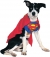 Superman Dog Costume Xl