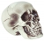 Realistic Skull 7 Inches