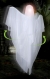 Hanging Rotating Ghost