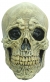 Death Skull Adult Latex Mask