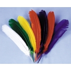 Indian Feathers Yellow
