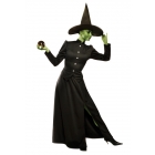 Classic Witch Adult Small