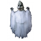Ghost  As Pictured