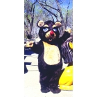 Barnaby Bear  As Pictured