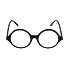 Glasses Professor Blk Clr