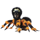 Pet Spider Medium