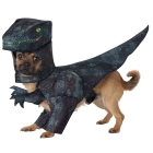 Pupasaurus Rex Dog Md