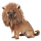 King Of Jungle Dog Costume