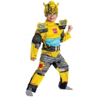 Boy's Bumblebee Eg Muscle Toddler Costume