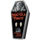 Dracula Fangs Medium