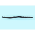 Mouse Cat Tail