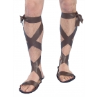 Roman Sandals Adult