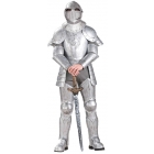 Knight In Shining Armour Adult