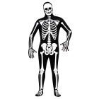 Skin Suit Skeleton Adult Std