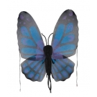 Wings Butterfly Blue
